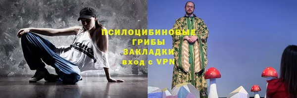 молекула духа Алексин